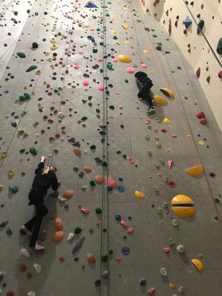 
      
        WhatsApp Image 2022-11-17 at 6.41.09 PM (1).jpeg
      
    